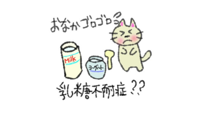 乳糖不耐症はアレルギーですか?